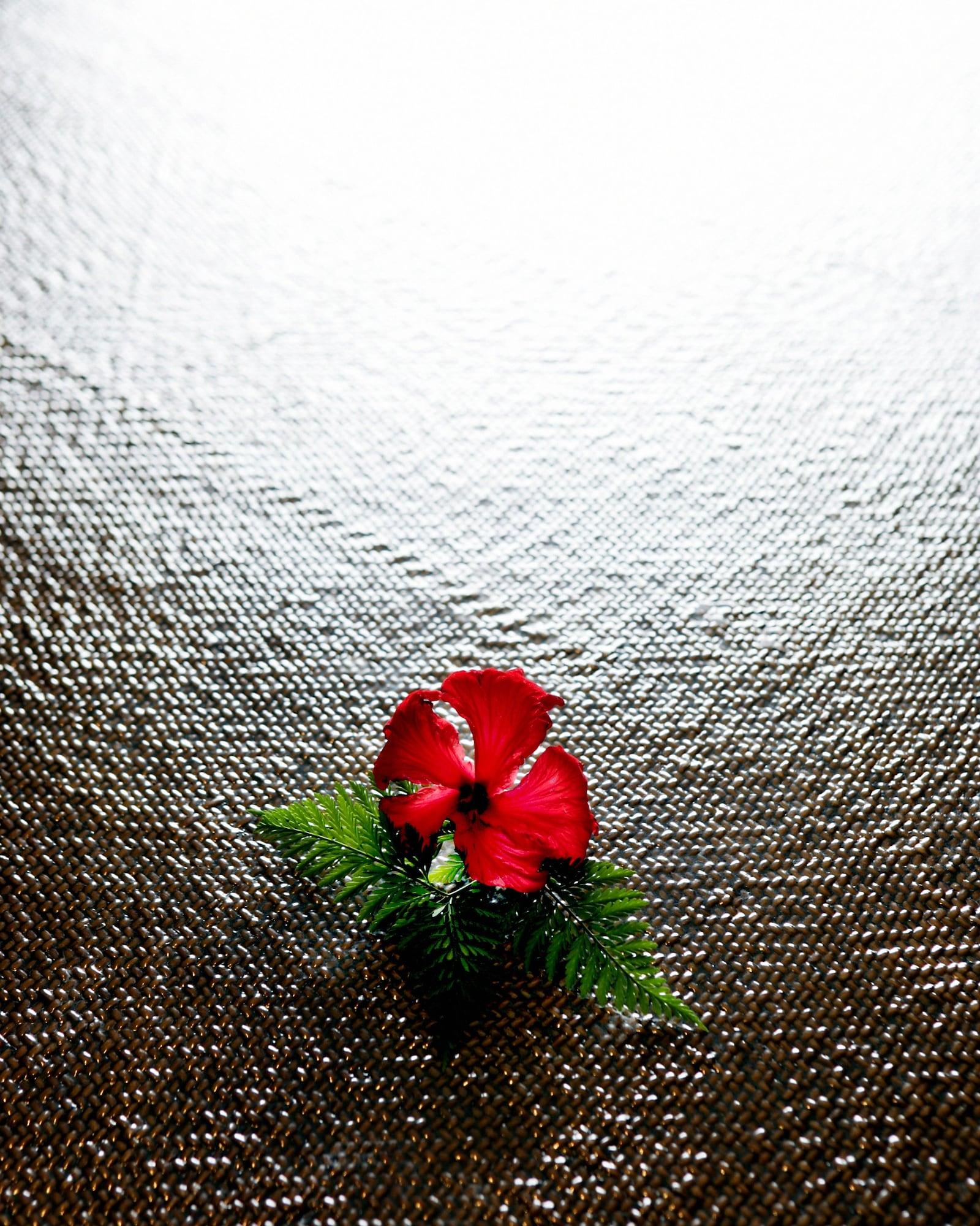 The Pearl South Pacific Resort, Spa & Golf Course Pacific Harbour Bagian luar foto